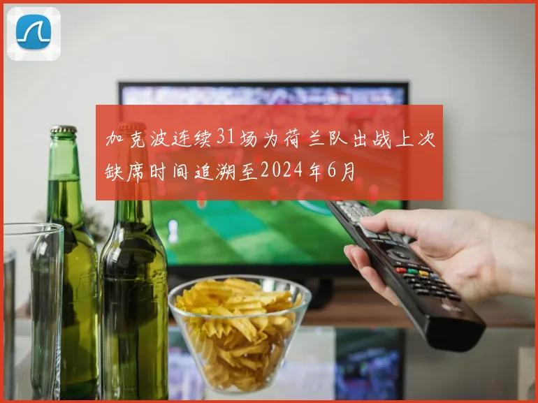 加克波连续31场为荷兰队出战上次缺席时间追溯至2024年6月