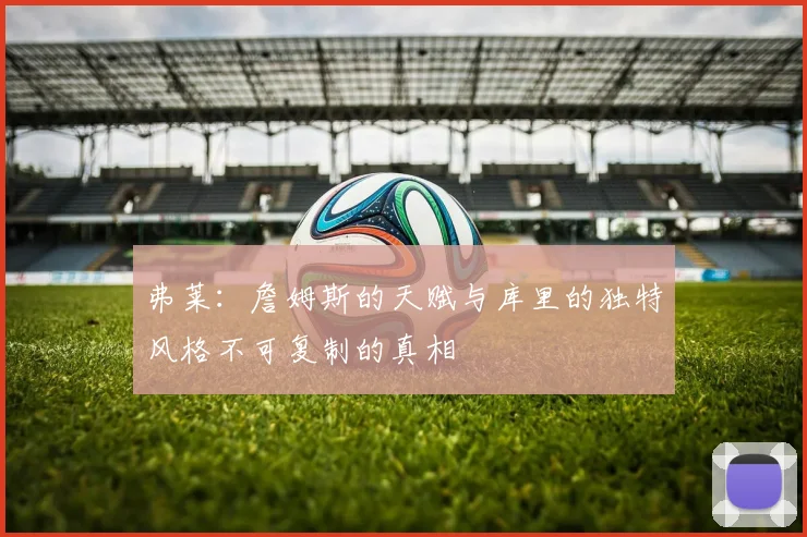 弗莱：詹姆斯的天赋与库里的独特风格不可复制的真相